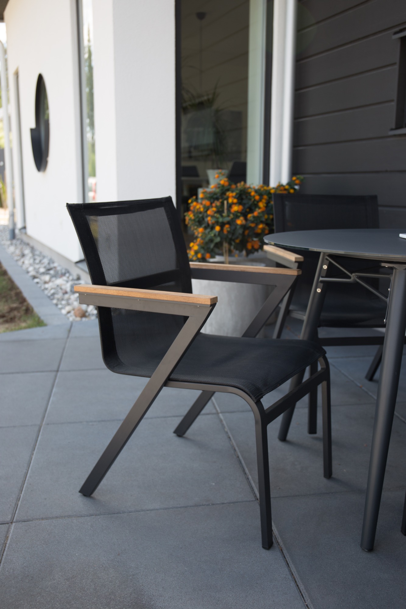 mexico-venture-design