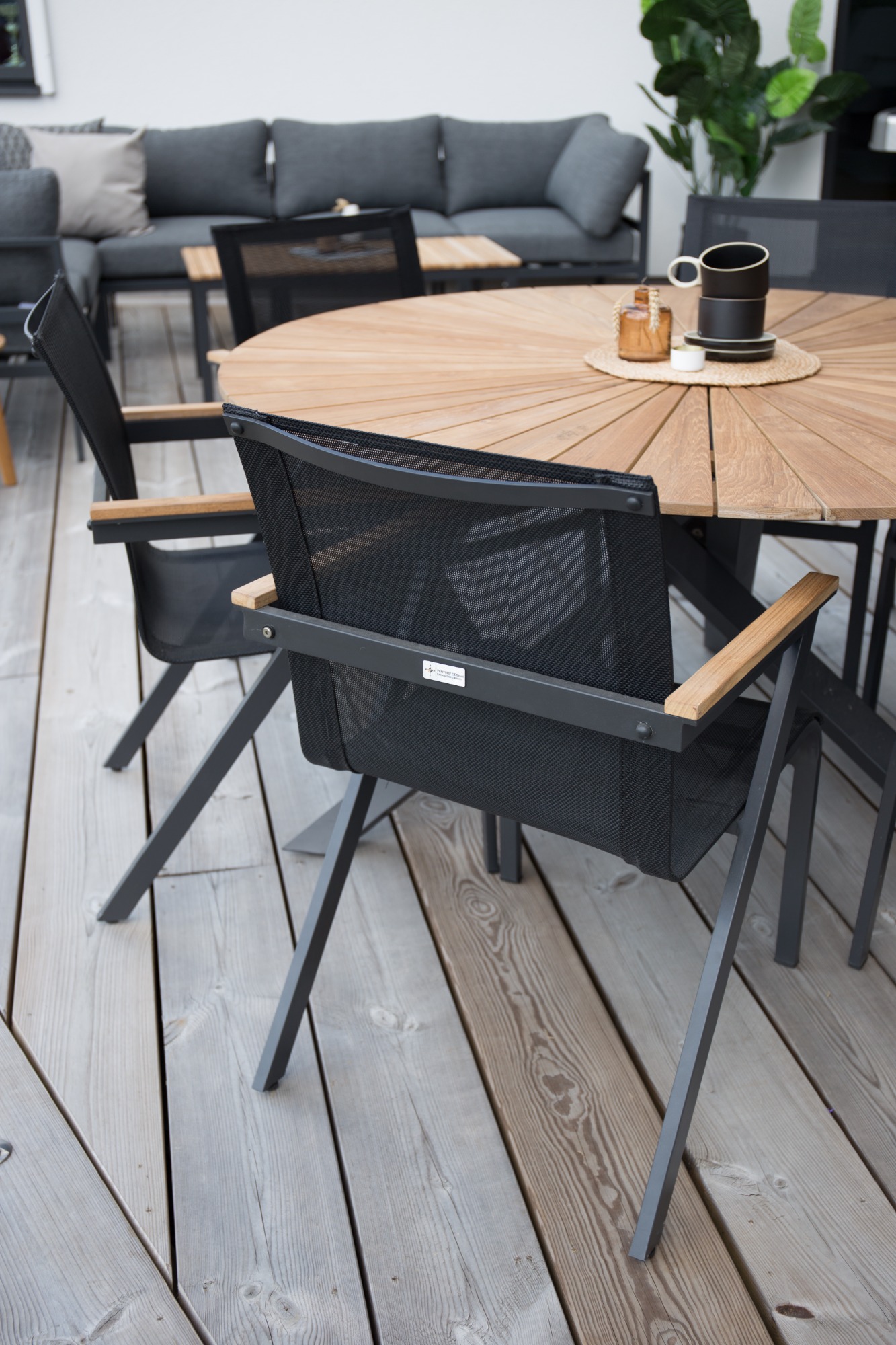 mexico-venture-design