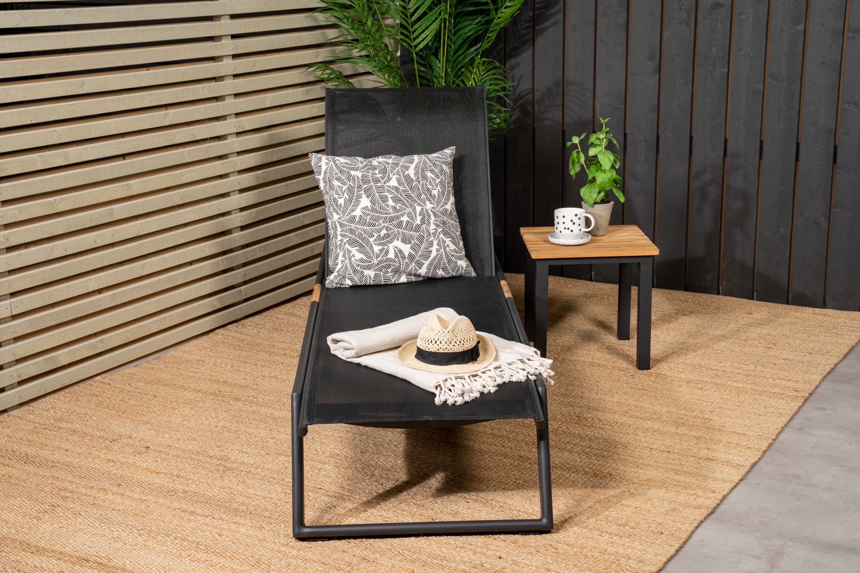 mexico-venture-design