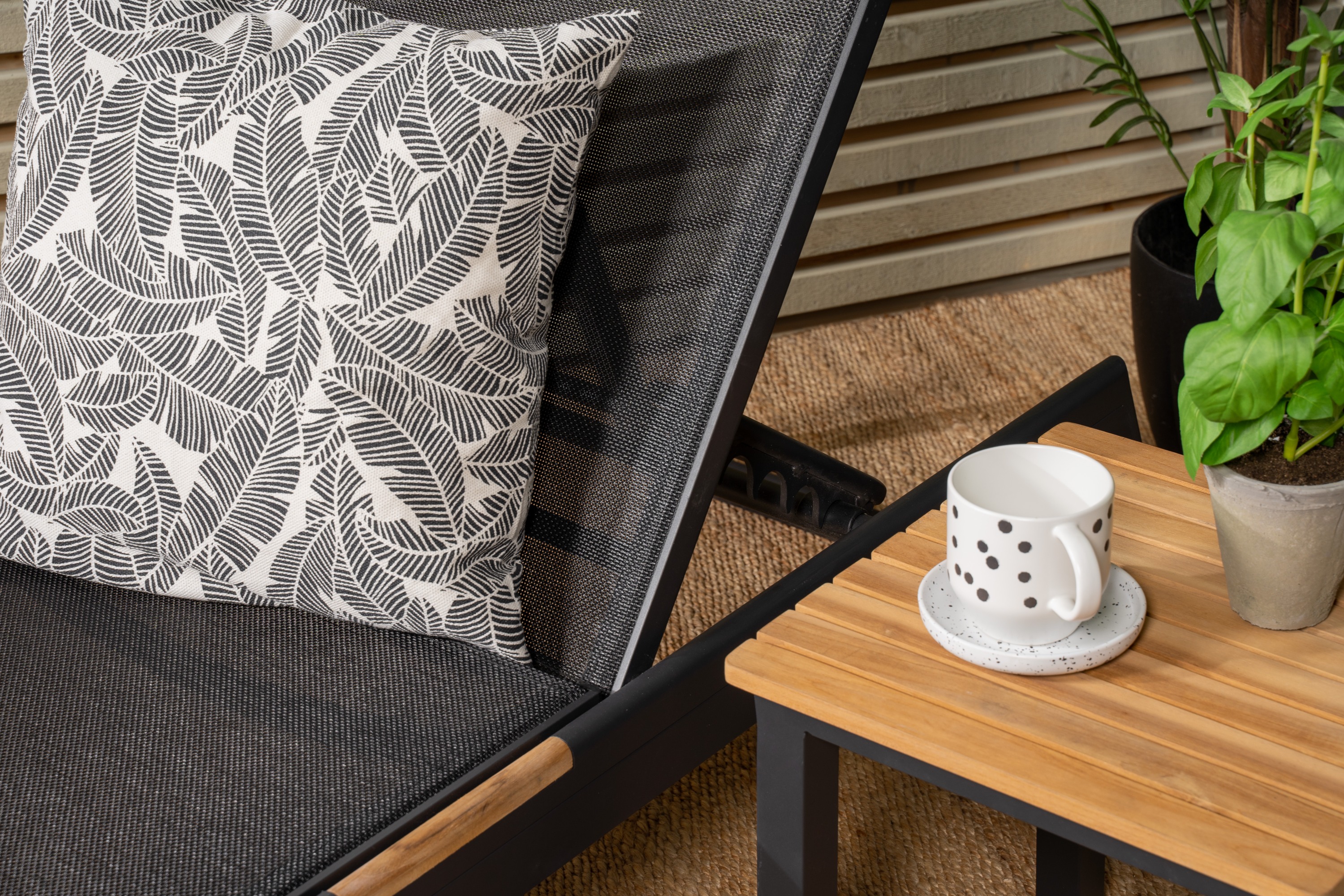 mexico-venture-design