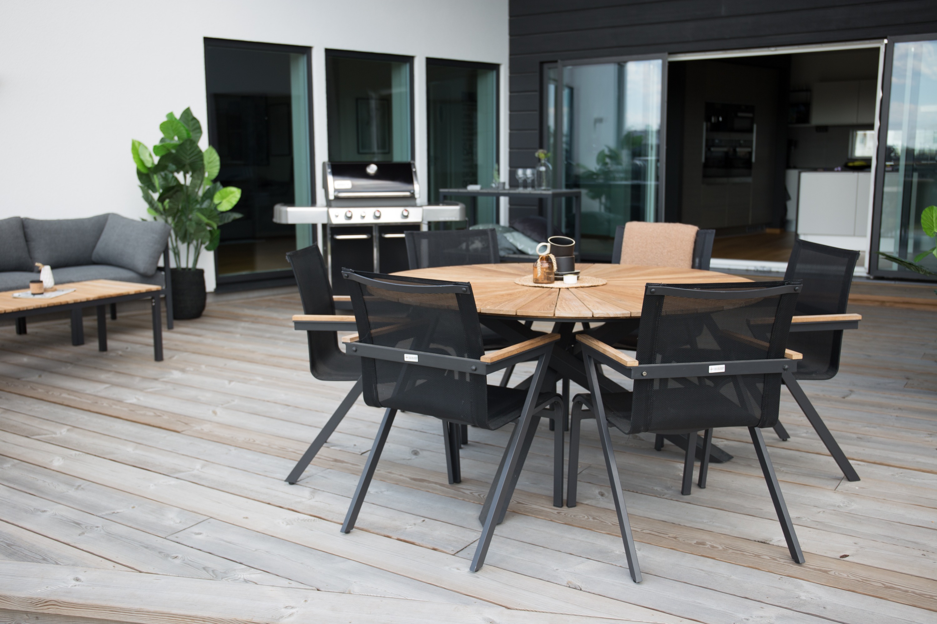 mexico-venture-design