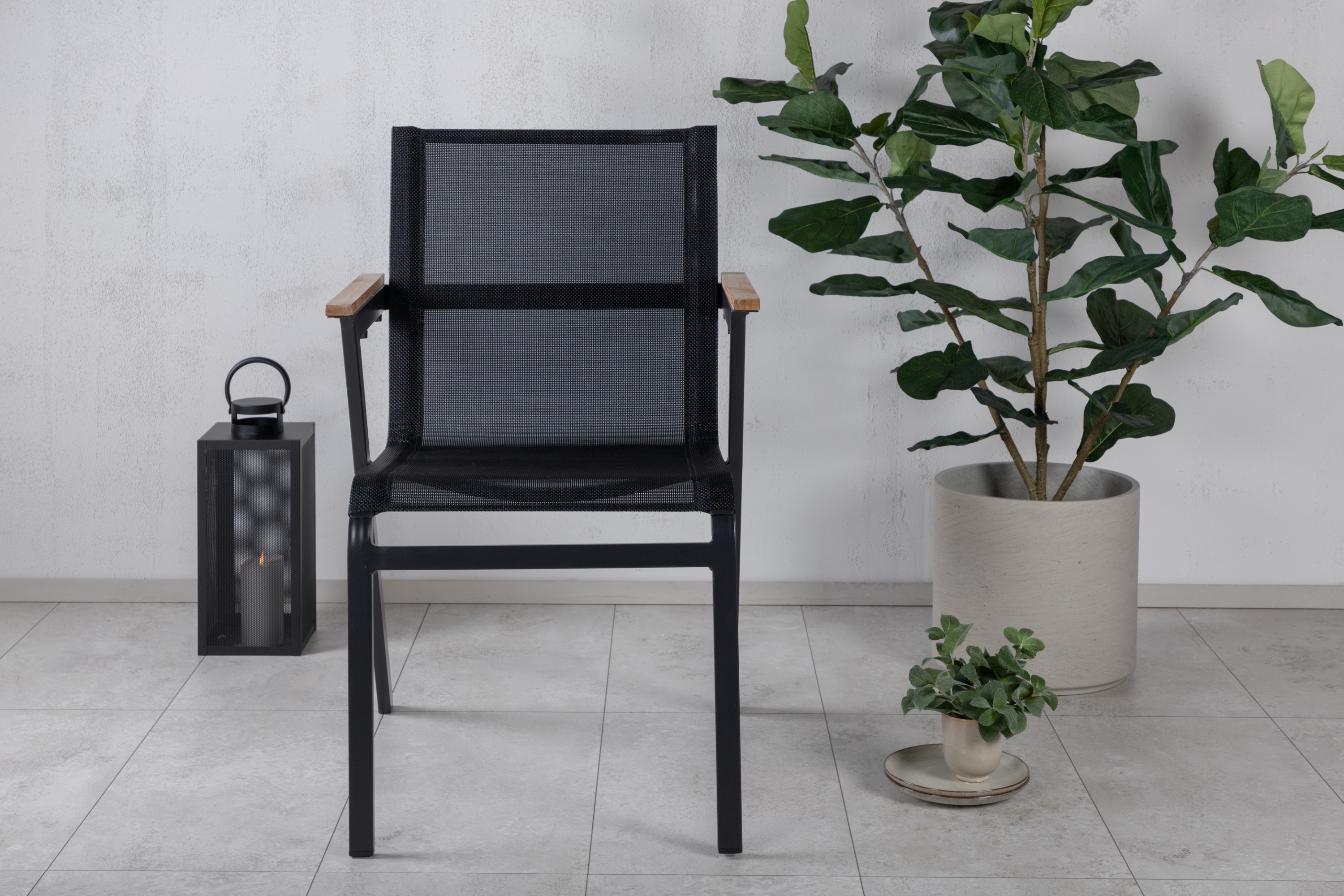 mexico-venture-design