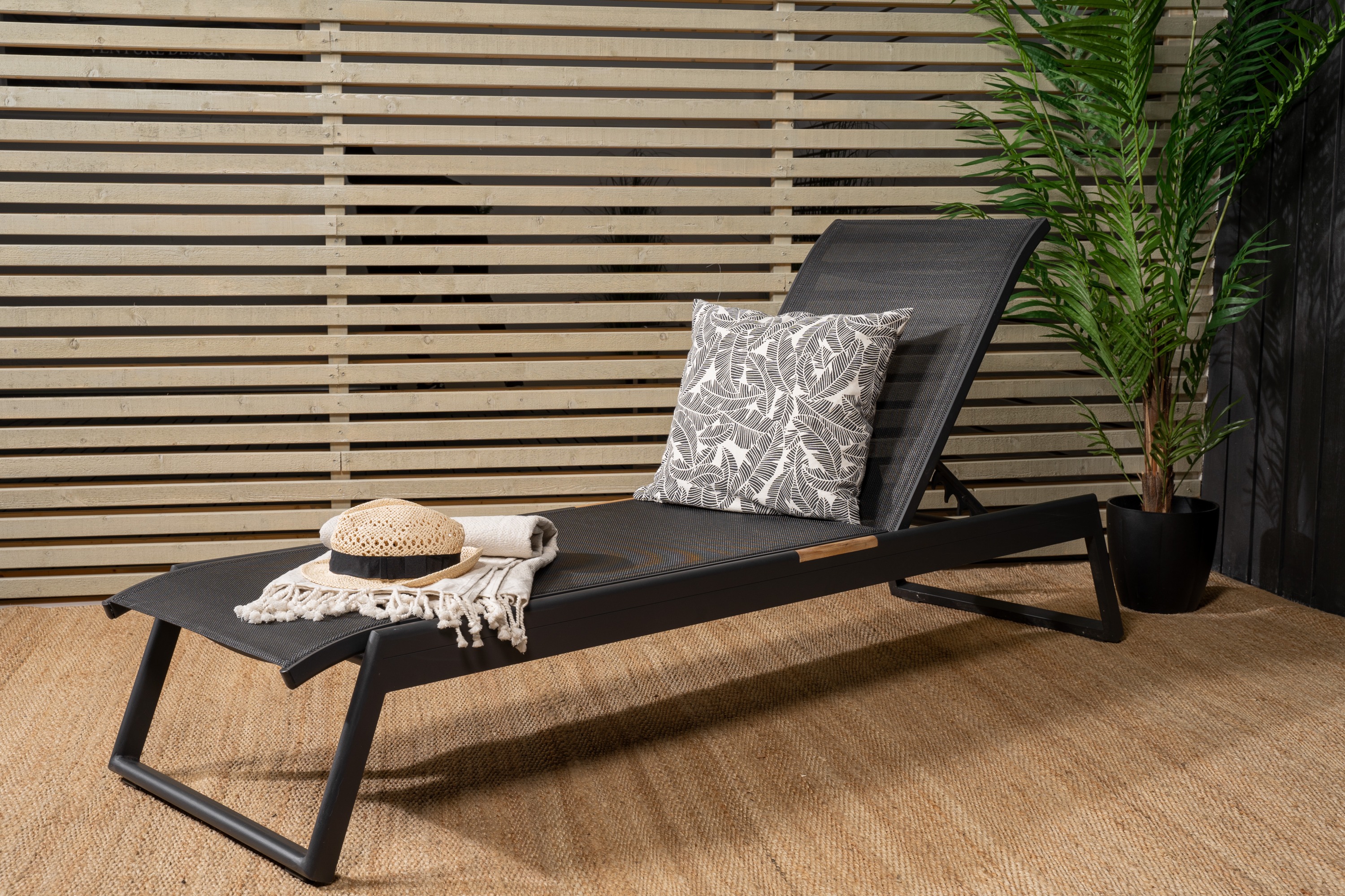 mexico-venture-design